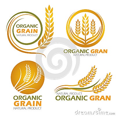 Gold circle paddy rice organic grain products and healthy food banner sign vector set design Vector Illustration