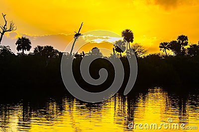 Gold Clouds over and in the River Stock Photo