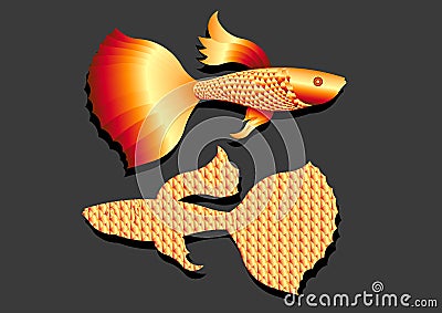 Gold color Guppy fish Vector Illustration