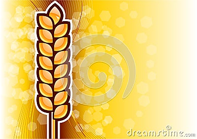 Gold corn Vector Illustration