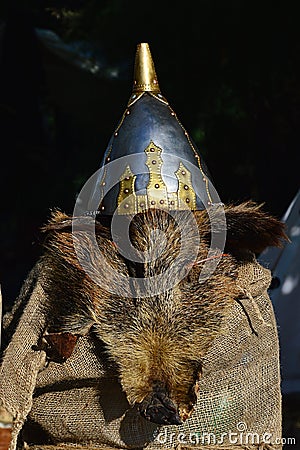 Gold decorated conical medieval helmet placed on wild boar head and fur Stock Photo