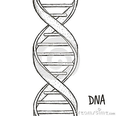 Gold Dna. Dna symbol. Dna helix symbol. Gene icon. Cartoon Illustration