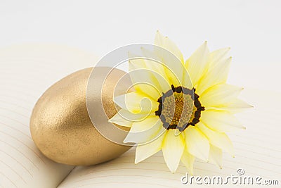 Gold egg and yellow blossom on journal reflect hopeful goals Stock Photo
