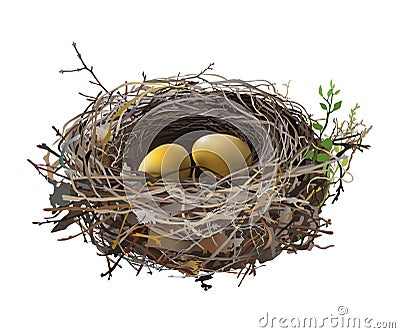 Gold Eggs in Bird`s Nest. Vector Illustration