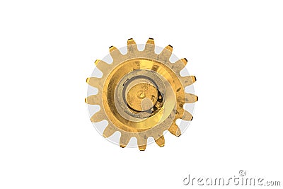 Gold engine gear isolated on white background, close-up Stock Photo