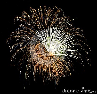 Gold firework with a white feather coming from center Stock Photo