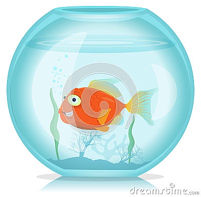 Gold Fish In Aquarium Vector Illustration