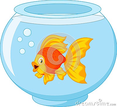 Gold fish in aquarium Vector Illustration