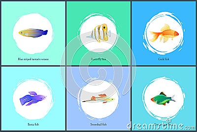 Gold Fish and Blue Tamarin Set Vector Illustration Vector Illustration