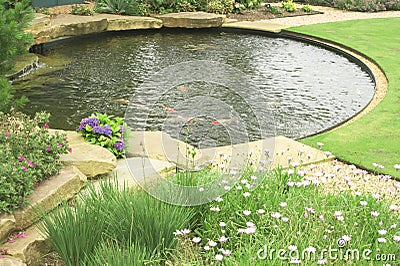 A gold fish pond in the garden. Stock Photo