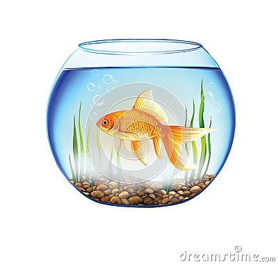 Gold fish in a Round aquarium, fish bowl Cartoon Illustration