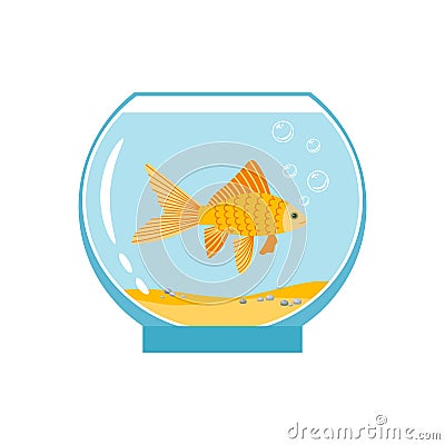 Gold fish in small bowl isolated on white background. Orange goldfish in water aquarium vector illustration Vector Illustration