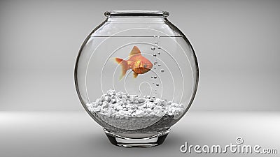 Gold fish in a small fish bowl Stock Photo