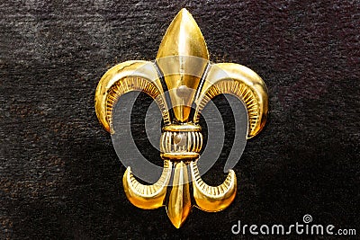 Gold Fleur-de-lis on painted black background II Stock Photo