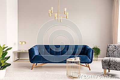 Gold lamp hanging above royal blue sofa in real photo of light grey sitting room interior with empty wall Stock Photo