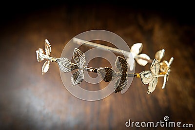 Gold Laurel Leaf Crown Stock Photo