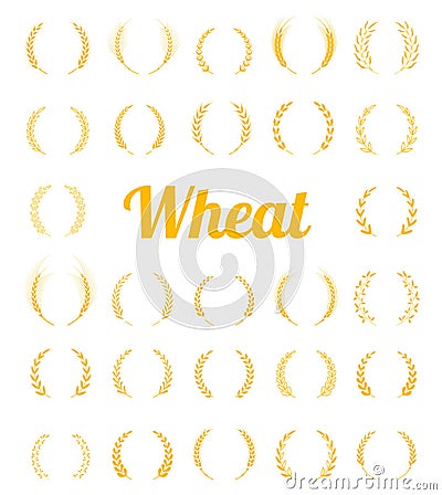 Gold laurel wreath - a symbol of the winner. Vector Illustration