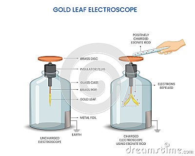 Gold leaf electroscope was Detects electric charge via leaf divergence, a common tool in electrostatics Vector Illustration