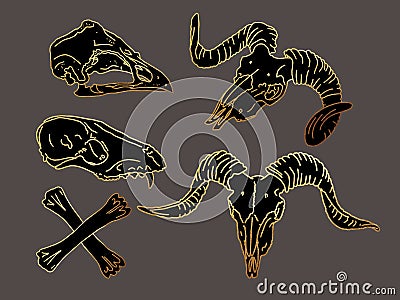 Gold line. Graphical set. animal skulls linear art. Cartoon Illustration