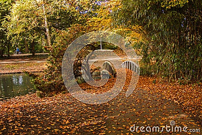 Gold lush great autumn in park with small bridge Stock Photo