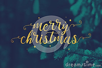 Merry Christmas Script with Evergreen Branches Background Stock Photo