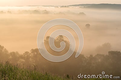 Gold of misty dawn Stock Photo