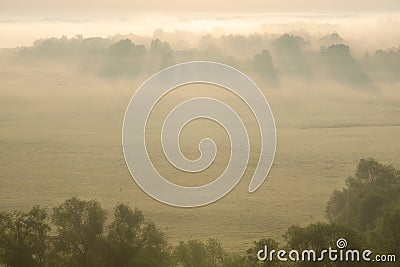 Gold of misty dawn Stock Photo