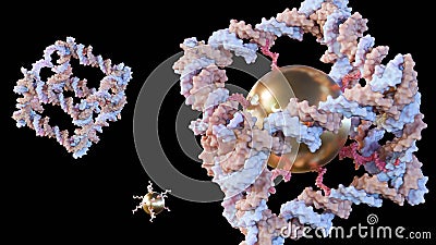 gold nanoparticles conjugated inside of DNA cube shape Stock Photo