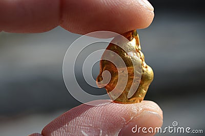 Gold nugget from the goldfields of Australia. Stock Photo