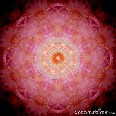 Gold Pink Harmony Mandala Rose Ornament Light Symmetry Meditation Stock Photo