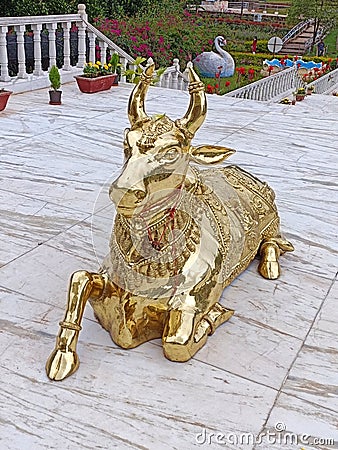 A gold plated sculpture of Nandi, the vehicle of Lord Shiva, in the premises of Art of Living Centre, Kanakpura Editorial Stock Photo