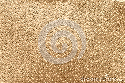 Gold python skin. The texture of genuine leather Stock Photo