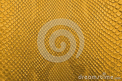 Gold python snake skin texture background. Stock Photo