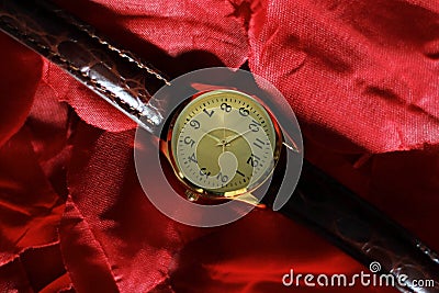 Gold and quartz watch with a leather strap on top of a pair of rose petals Stock Photo
