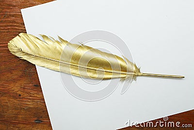 Gold quill pen Stock Photo