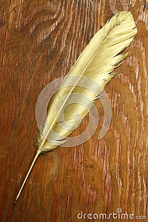 Gold quill pen Stock Photo