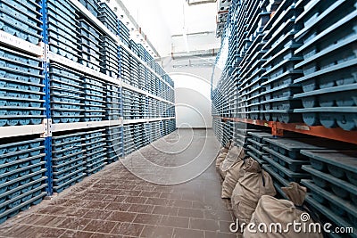 Gold rock core drill samples storage Stock Photo