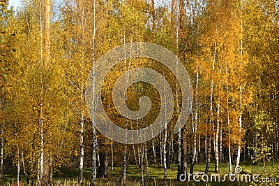 Gold of Russia Stock Photo