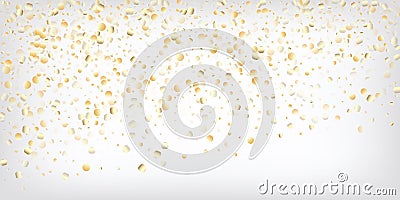 Gold, Silver Rich Falling Bokeh Confetti. Vector Illustration