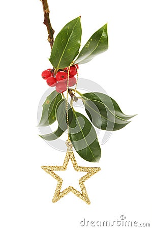 Gold star in Holly Stock Photo