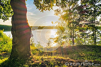 Gold sunset over river with sun rays, tree silhouettes and reflection on water Stock Photo