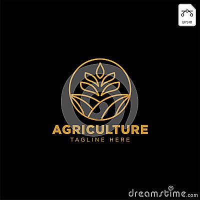 gold agriculture farm line badge vintage logo template vector illustration Vector Illustration