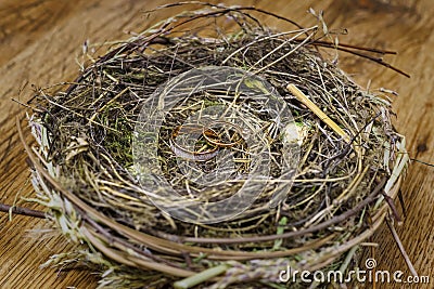 Gold wedding rings in a real bird`s nest Stock Photo