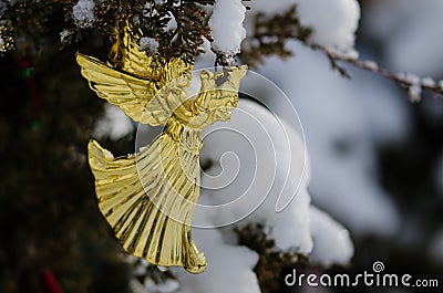 Golden Angel Christmas Ornament Decorating a Snowy Outdoor Tree Stock Photo