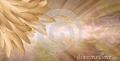 Golden Angel Feather Message Banner Background Stock Photo