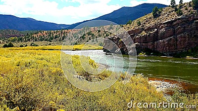 Golden Aspens lining the riverside Stock Photo