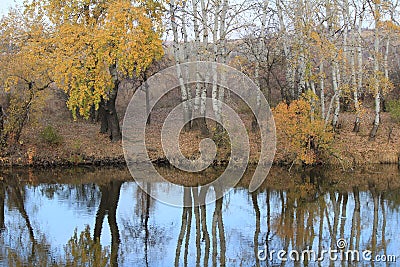 Golden autumn Stock Photo