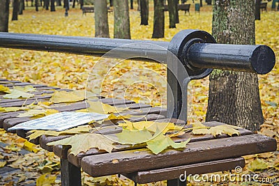 Golden autumn. Beautiful maple leaves on a bench Stock Photo