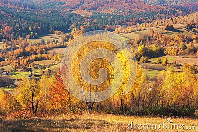 Golden autumn in the mountains, bright color landscape Stock Photo