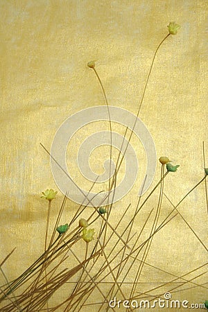 Golden background and dried flowers. Stock Photo